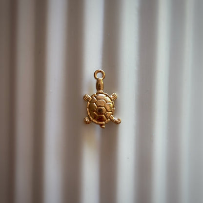 SCEGLI I TUOI CHARMS