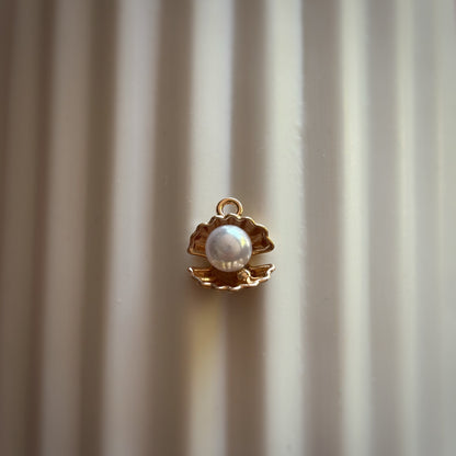 SCEGLI I TUOI CHARMS