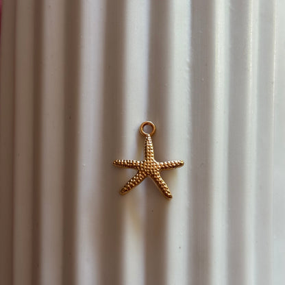 SCEGLI I TUOI CHARMS